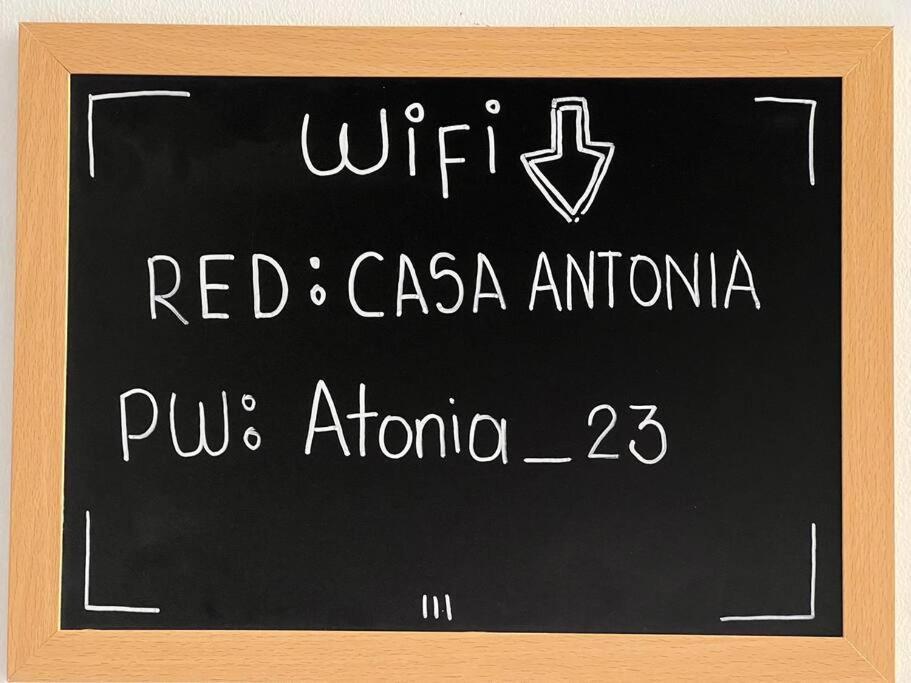 Вілла Nueva En San Antonio Cali, La Casa De Tona Екстер'єр фото